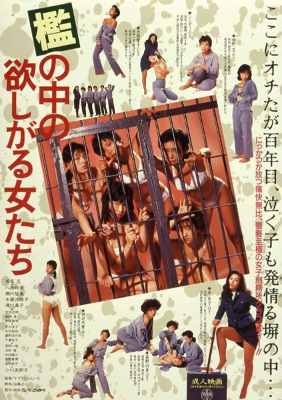 141nkt00483pl