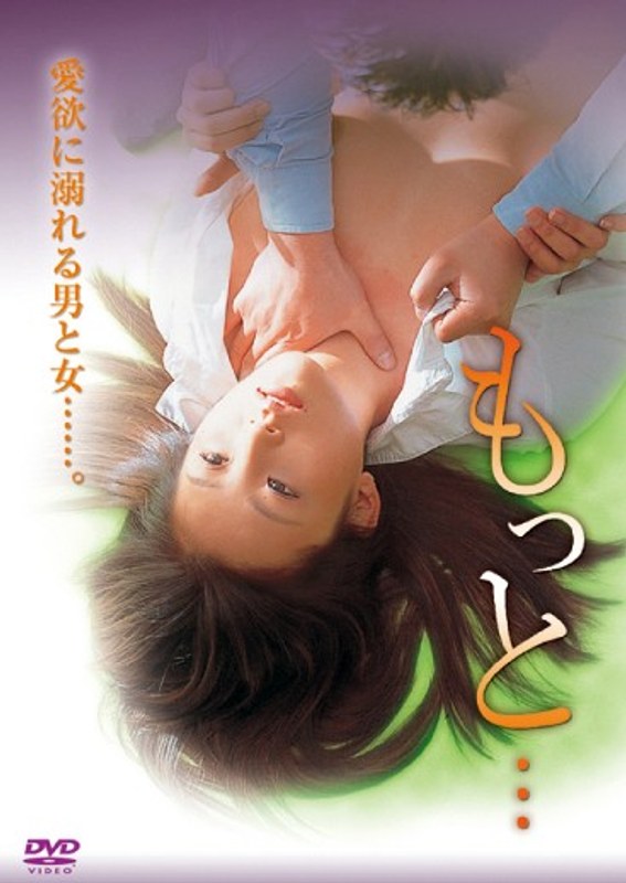 H 376zvc00065pl