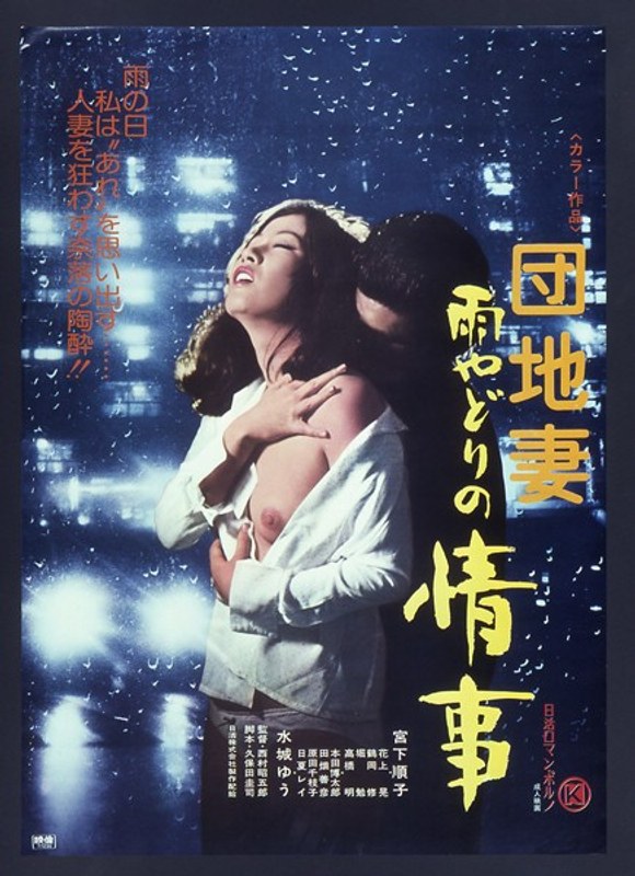 141nkt00418pl