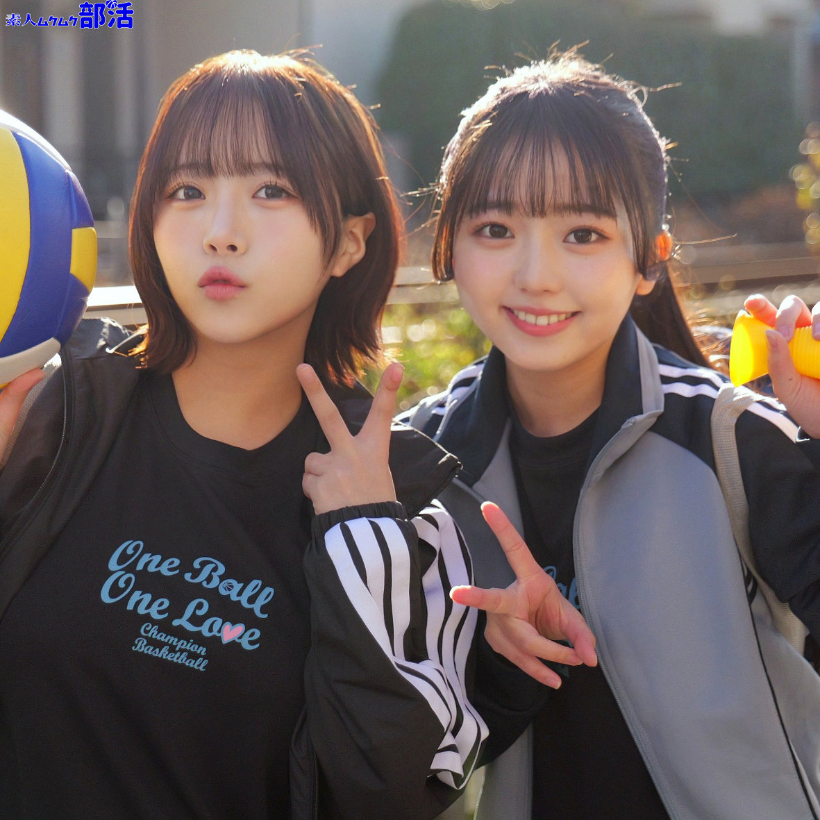 Smub115jp